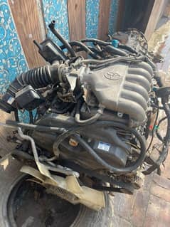 5vz Enginne contact 0309.9958386