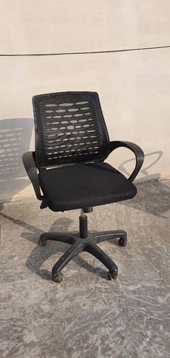 Rolling Chairs For Sell