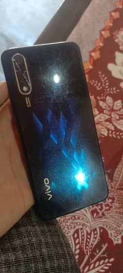 vivo