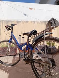 Bridgestone Ex8 Japanese Bicycle For Sale