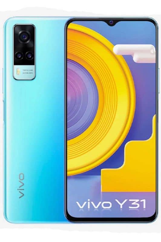 Vivo y 31 1