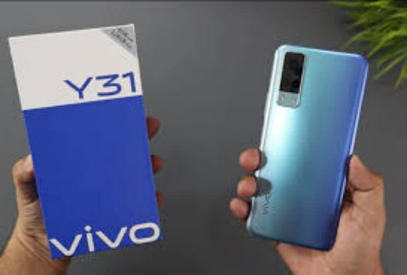 Vivo y 31 2