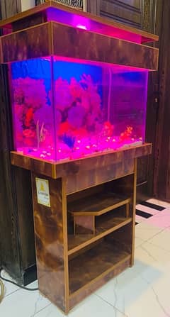 Fish Aquarium for sale