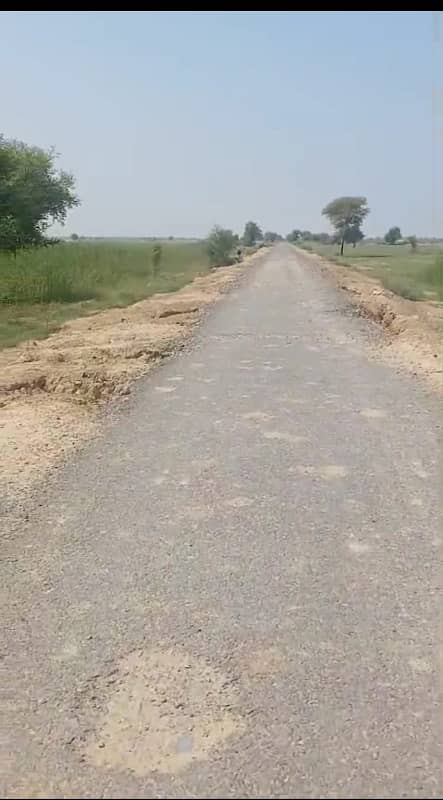 75 Acre Agriculture Land Available For Sale In Fort Abbas, District Bahawalnagar 4