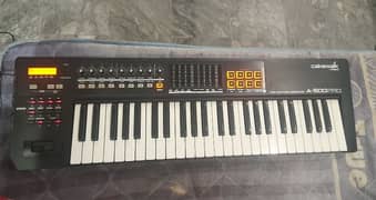 Roland Cakewalk A500- Pro Midi keyboard.