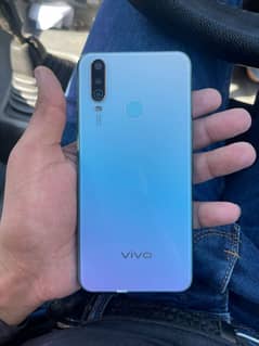 vivo