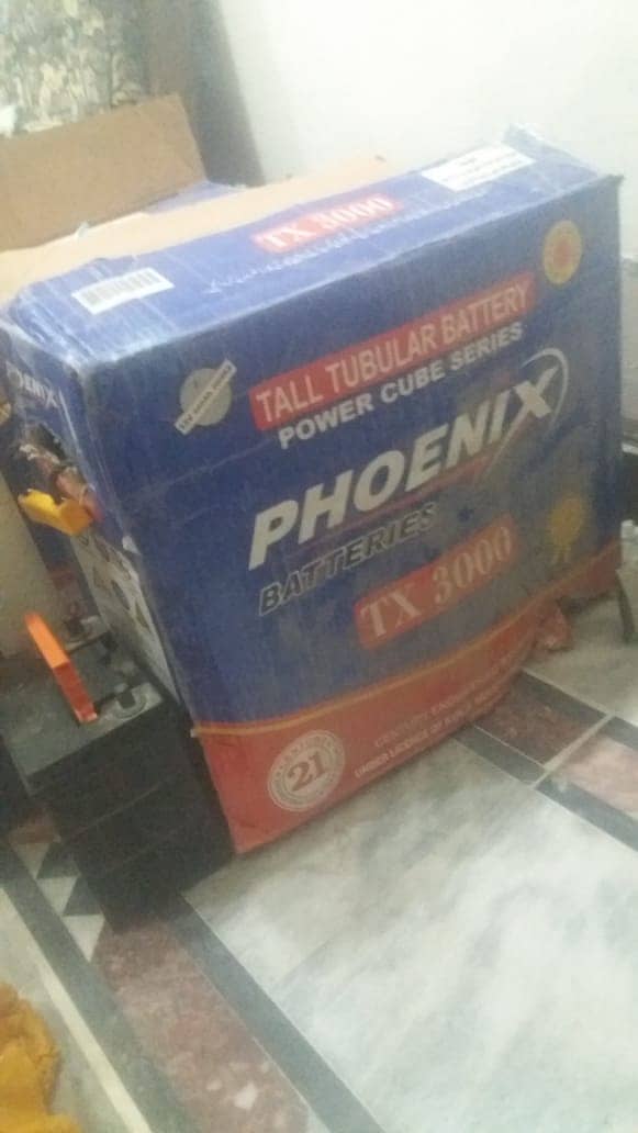 Phoenix tall tubular batteries (TX 3000) 1