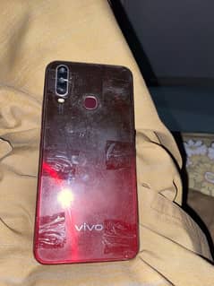 vivo