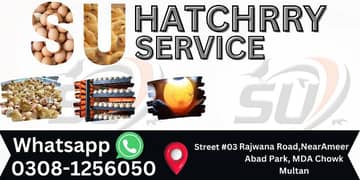 Hatchery Service in Multan