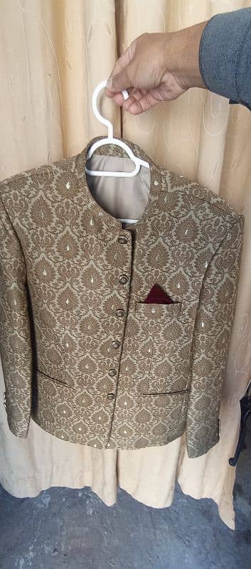 GOLDEN PRINCE COAT 3