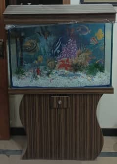 Fish Aquarium