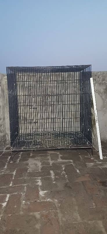 iron cage / cage for birds 0