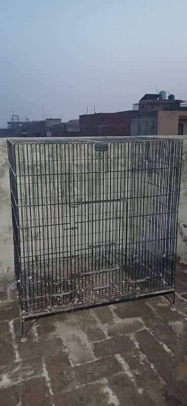 iron cage / cage for birds 5