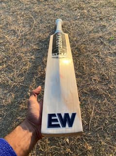 New original GRADE 1 bat