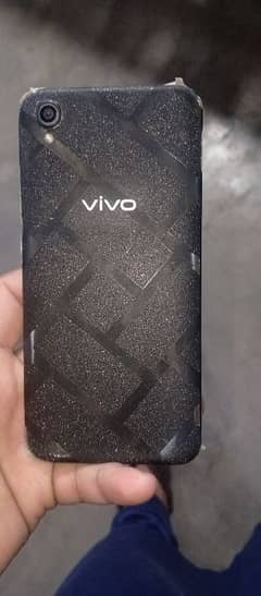 vivo