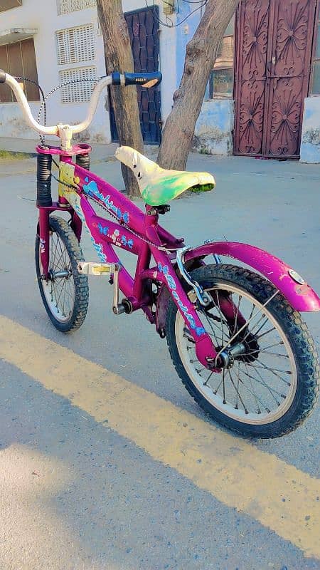 16 Inch Bicycle for Sale 2