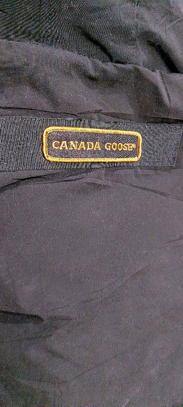 canada goose 0