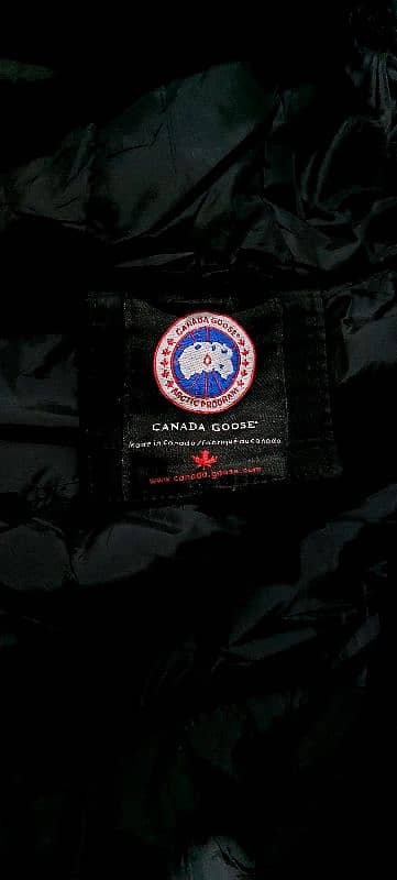 canada goose 2