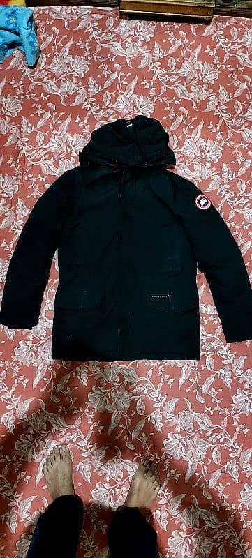 canada goose 5