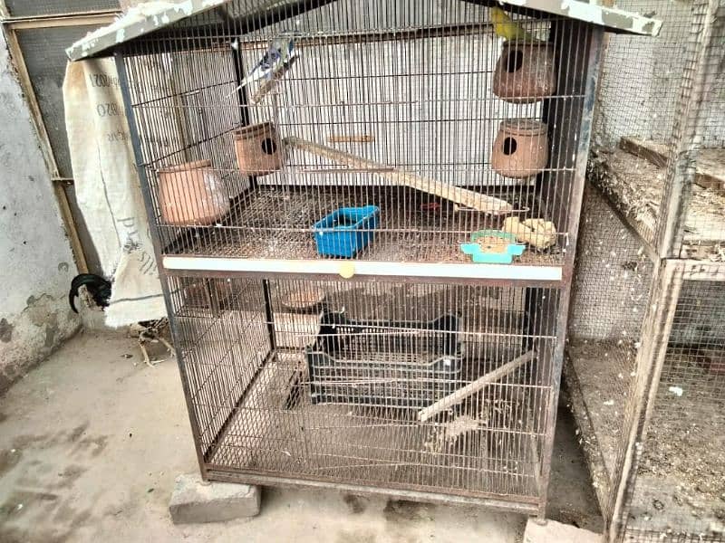 cages sale condition new 11