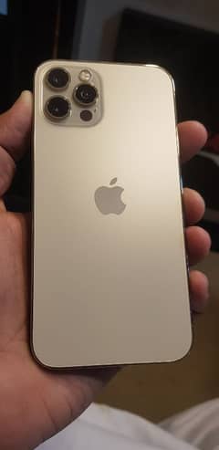 iphone 12pro 256gb non pta for sell