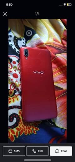 vivo