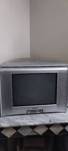 Sony Wega 21" Woofer Speaker