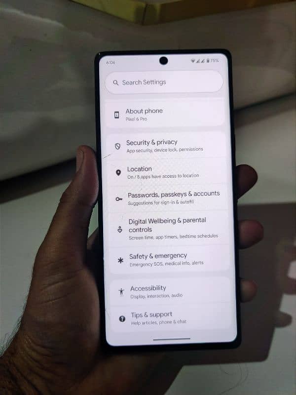 Google pixel 6 pro dual sim approved 2