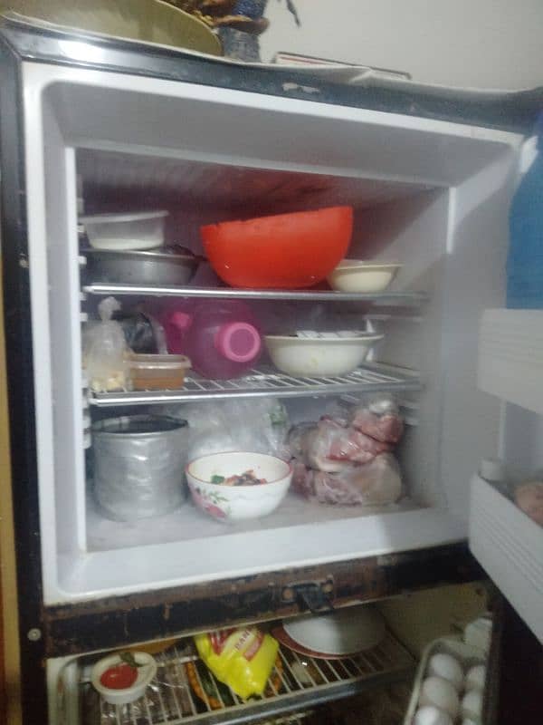 refrigerator 1