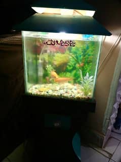 Fish Aquarium in Excellent condition