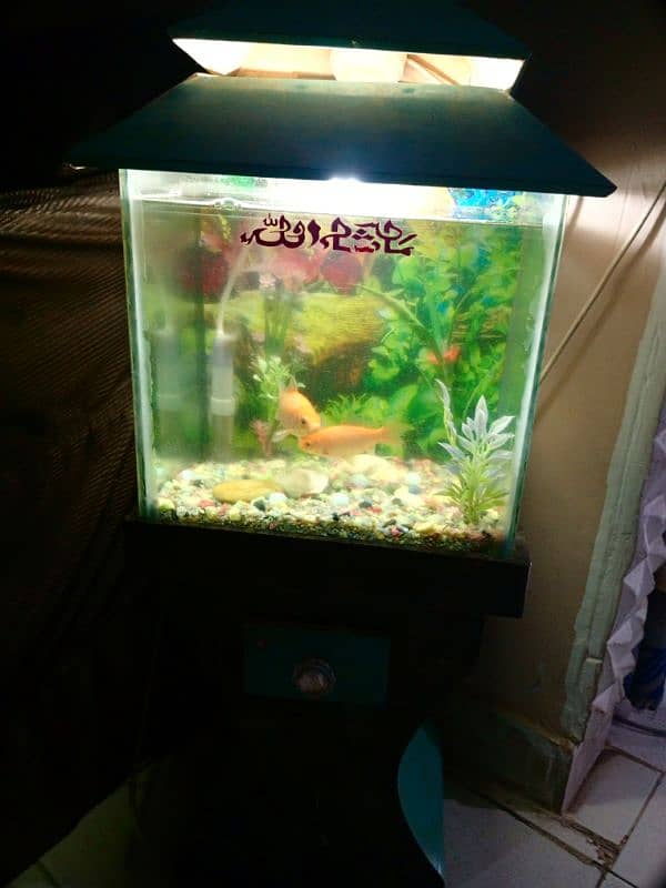 Fish Aquarium in Excellent condition 0