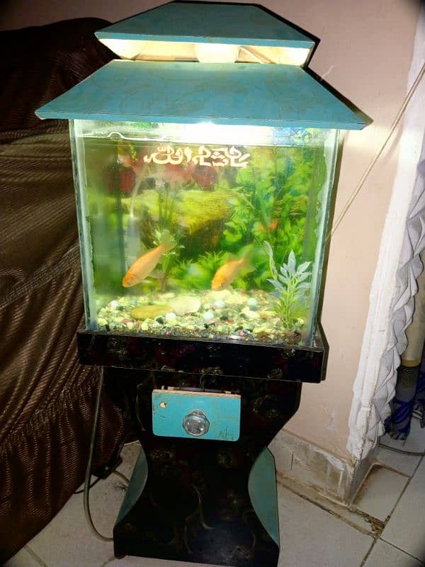 Fish Aquarium in Excellent condition 1