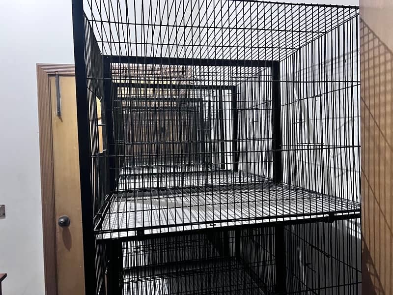 Cage for sale 4