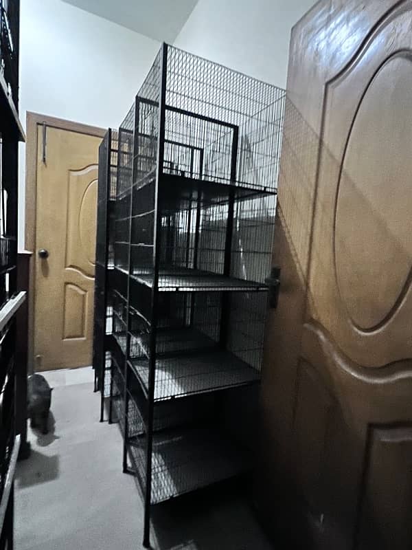 Cage for sale 5