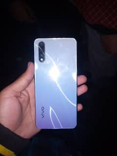 vivo