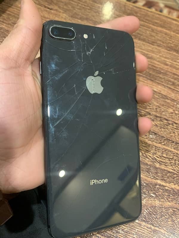 8plus PTA Approved 1