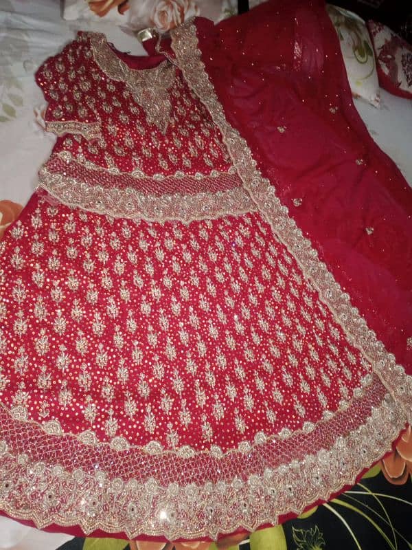 bridle lehnga 2