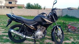 Yamaha YBR 125 | Model 2023 | Urgent Sale | Price Negotiable