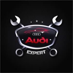 audiexperts