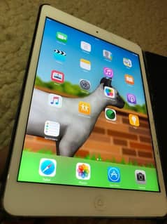 iPad mini colour silver storage 12