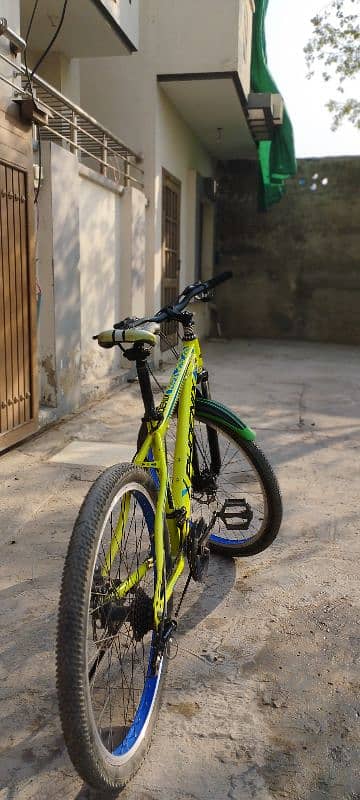 Phoenix Mountain Bicycle in Unique Lime Color With Wide Metal Body 4