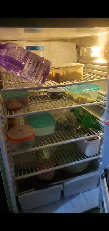 pel fridge 1