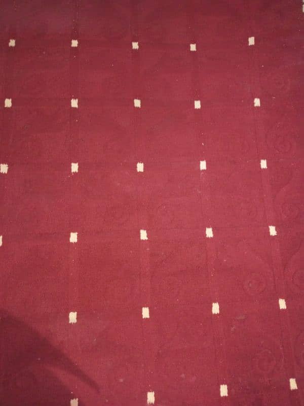 vinus carpet 0