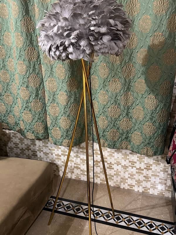 Feather floor lamp 1