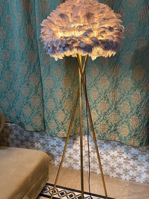 Feather floor lamp 2