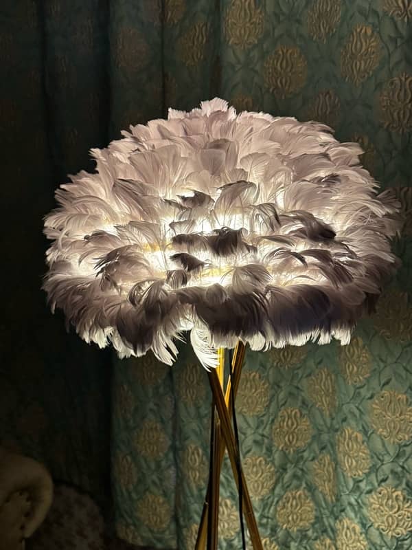 Feather floor lamp 6