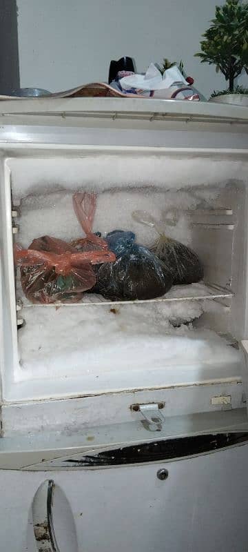 Refrigerator for sale 1