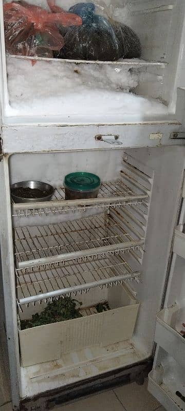 Refrigerator for sale 2