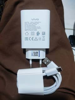 Vivo Y17s Charger Type C