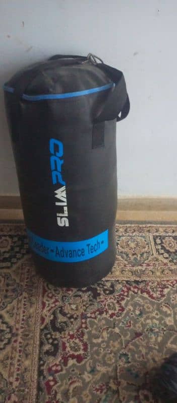 punching bag with gloves 1